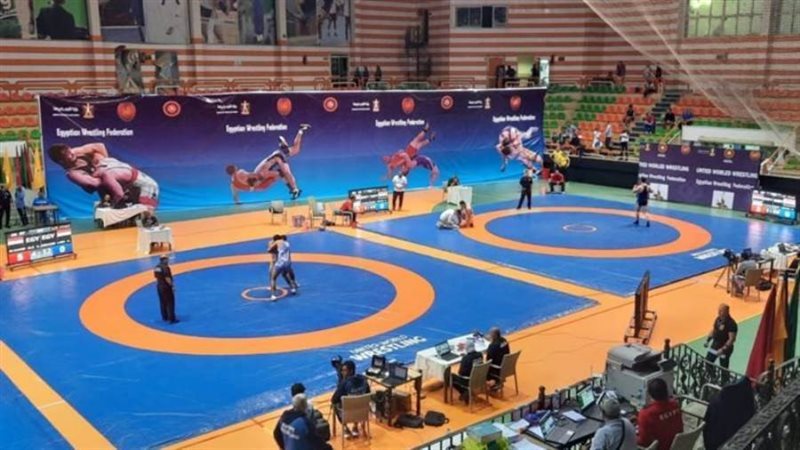 بوابة روز اليوسف