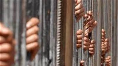 الحبس المطلق لأفراد تشكيل عصابي بينهم ٣ ينتمون للجماعة لتجميعهم سلعا تموينية بالقليوبية 