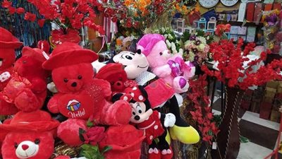 قبل عيد الحب.. تعرف على أسعار دباديب في مصر 2023