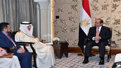 عاجل..الرئيس السيسي يلتقي في دبي رئيس مجموعة البنك الإسلامى للتنمية
