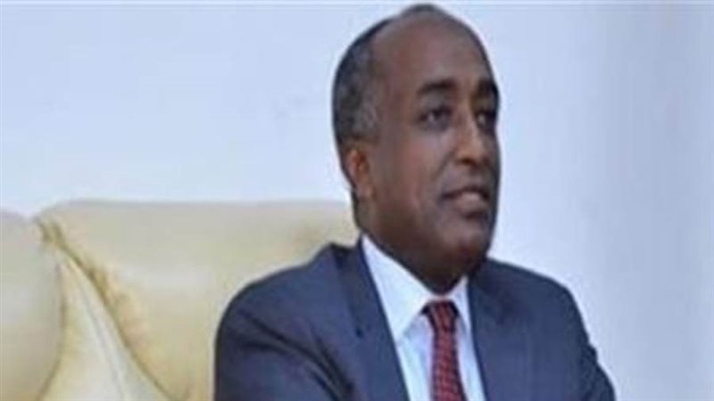 سفير مصر لدى طوكيو