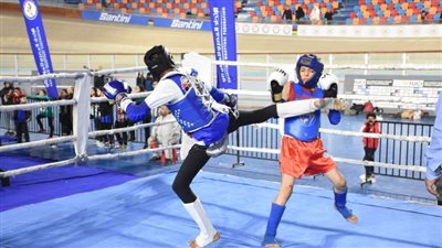 المواي تاي يحذر من إقامة بطولة خارج أنشطة الاتحاد لـ «MMA» في استاد القاهرة 