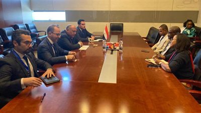 شكرى يعرب عن ثقة مصر في قيادة جزر القمر للاتحاد الإفريقي وسط التحديات التي تواجه القارة