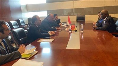 وزير الخارجية يؤكد عمق العلاقات بين مصر وموريتانيا 