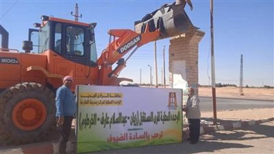 تجميل وتطوير مداخل القرى والميادين الرئيسية وفتح طرق جديدة في الوادي الجديد