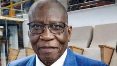 رئيس الاتحاد الأفريقي للتايكوندو يشيد بقدرة مصر على تنظيم البطولات الدولية