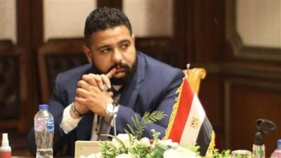 زياد علي: مصر تسير في الطريق الصحيح نحو آليات التحول الرقمي القضائي