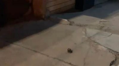 استهداف مكتب قناة فضائية عراقية بقنبلة يدوية في بغداد