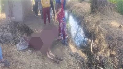 تداول منشور بمواقع التواصل عن العثور على 26 حمارًا مذبوحًا ومسلوخًا بالشرقية