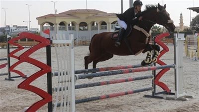فرسان الهيئات الرياضية أثنوا على تنظيم الحلقة السابعة من بطولة الجمهورية للفروسية