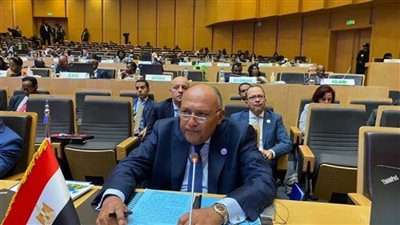 شكري يؤكد على أهمية أن تركن أطراف النزاعات لمبدأ الحلول الإفريقية للمشاكل الإفريقية