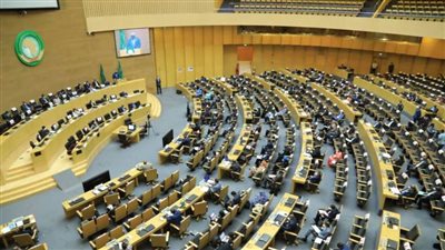 تعيين جنوب إفريقيا رئيسًا لمجلس السلم والأمن التابع للاتحاد الإفريقي