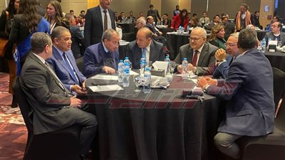 رئيس جامعة كفر الشيخ يشارك في إطلاق برنامج التعليم العالي للإرشاد المهني من أجل التوظيف