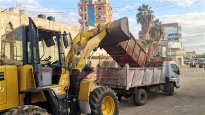 قص وتهذيب الأشجار في المدارس ورفع كفاءة الإنارة العامة والنظافة بكفر الشيخ