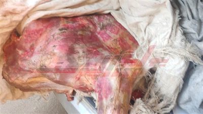 ضبط لحوم غير صالحة للاستهلاك الآدمي داخل ثلاجة بدون ترخيص بكفر الشيخ