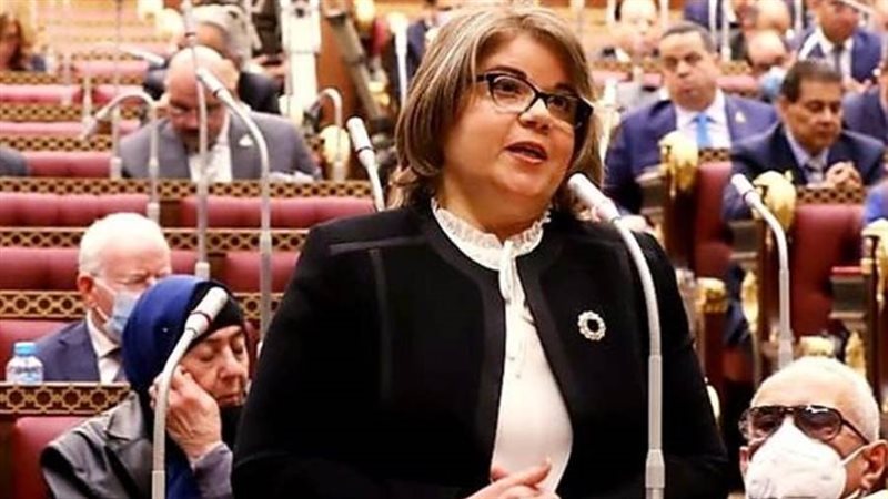 النائبة فيبي فوزي