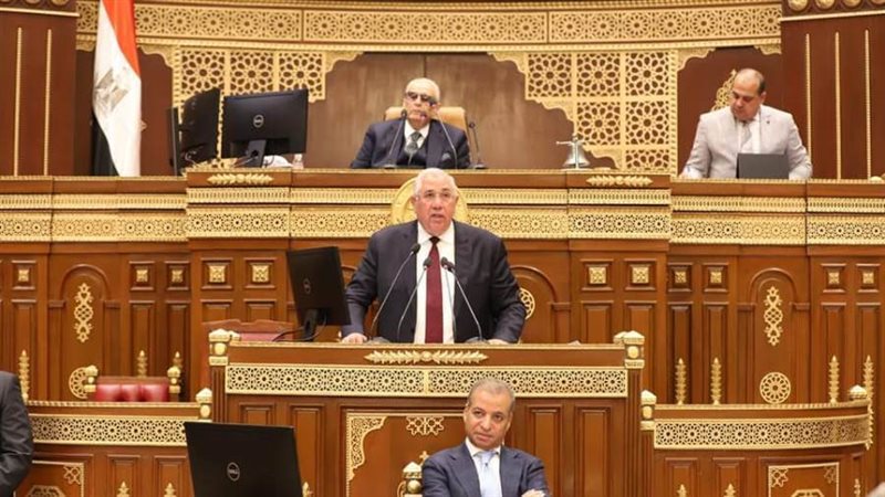 السيد القصير