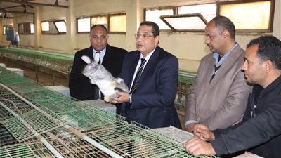 لتعزيز أوجه التعاون.. رئيس جامعة بنها يستقبل وفد هيئة تنمية الصعيد بمجلس الوزراء