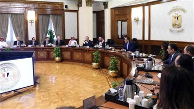 رئيس الوزراء يستعرض فرص زيادة الاستثمار لشركة 