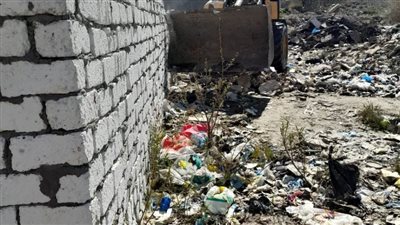 حملات مكبرة لإزالة التعديات على الأراضي الزراعية وإيقاف أعمال البناء المخالف بأحياء الإسكندرية