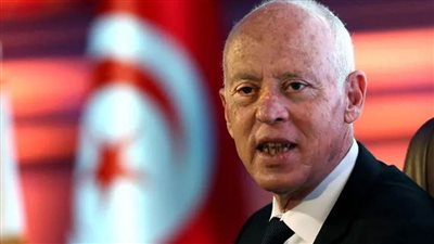 قيس سعيد: نحرص على دفع علاقات التبادل والاستثمار والشراكة مع قطر 