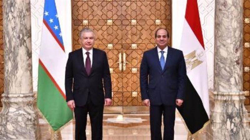 الرئيس السيسي ورئيس