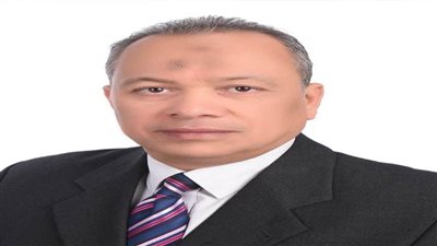 الدكتور هشام حنضل يكتب: العلاقات المصرية - الهندية 