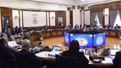 بالإنفوجراف.. الحصاد الأسبوعي لمجلس الوزراء