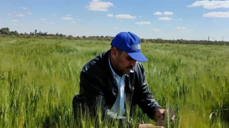 متابعه وندوات مستمرة