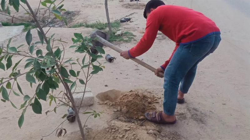 100 مليون شجرة..