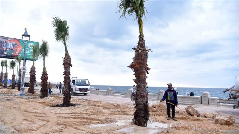 محافظ الإسكندرية