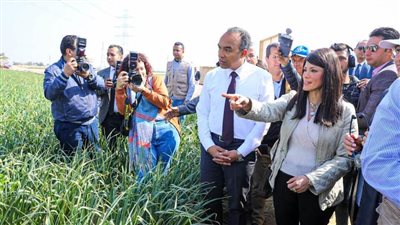 وزيرة التعاون الدولي ونائب محافظ المنيا يتفقدان عدة مشروعات للاستثمار الزراعي المستدامة (صور) 