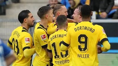 بوروسيا دورتموند يتصدر الدوري الألماني مؤقتًا بفوزه على هوفنهايم 