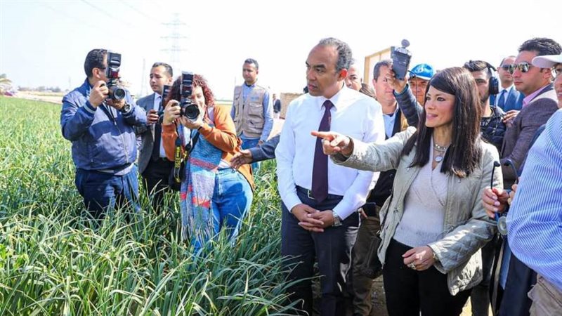 وزيرة التعاون الدولي