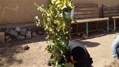 المبادرة الرئاسية 