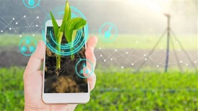 خبراء يؤكدون أهمية التحول الرقمي للنهوض بقطاع الزراعة وتحقيق الأمن الغذائي