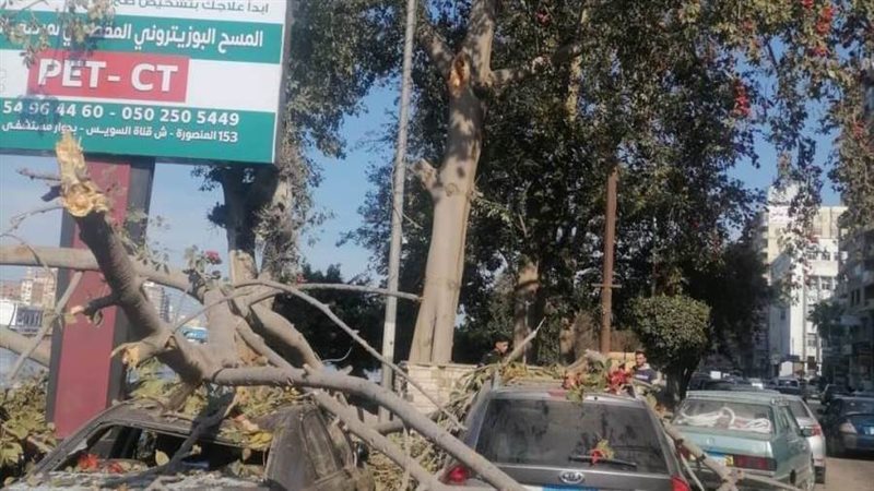 تحطم السيارات