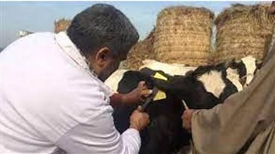 وزير الزراعة: انطلاق الحملة القومية للتحصين ضد الحمى القلاعية والوادي المتصدع السبت المقبل