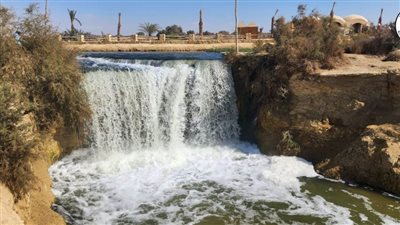 جامعة أسيوط الأهلية تنظم رحلة علمية للتنمية السياحية لطلابها لزيارة محمية وادي الريان 