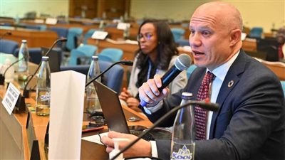 مسؤول أممي: مصر وجنوب إفريقيا في مقدمة الدول التي تتحرك نحو الاقتصاد الأخضر