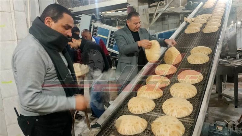 الحملات الرقابية