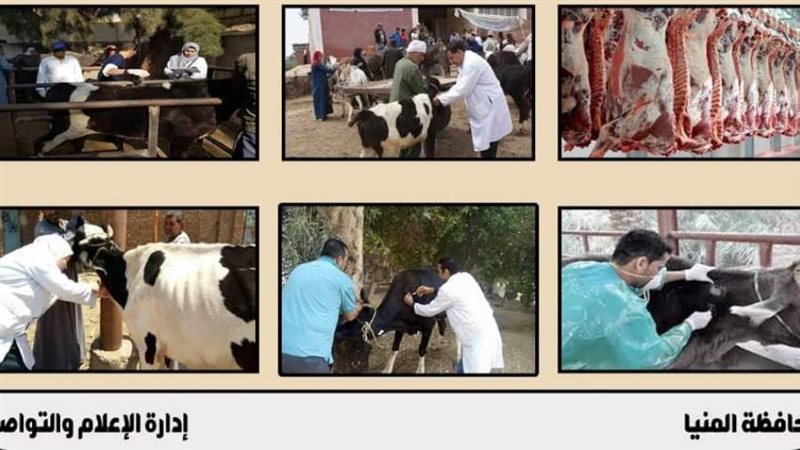 حملات تحصين الماشية