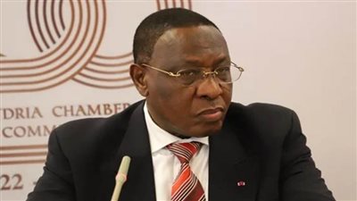 سفير الكاميرون لدى مصر.. نعمل على زيادة الصادرات المصرية الفترة المقبلة