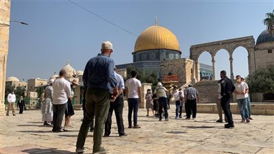 عشرات المستوطنين الإسرائيليين يقتحمون باحات المسجد الأقصى
