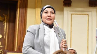 طلب إحاطة للحكومة بسبب استيلاء منصة هوج بول على 6 مليارات جنيه من أموال المصريين