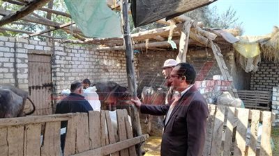 مدير عام الطب البيطري بكفر الشيخ يتفقد لجان تحصين الماشية