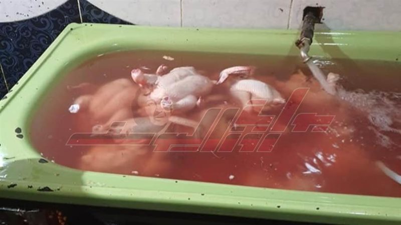 الدواجن المبضبوطة