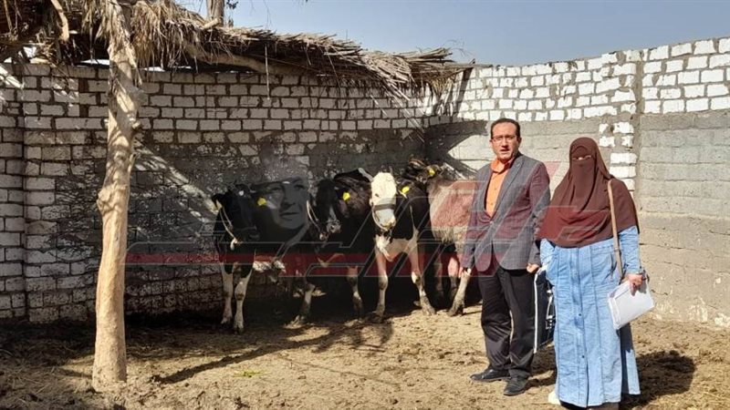 وكيل وزارة الطب البيطري