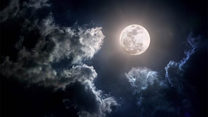 صورة ارشيفية_بدر