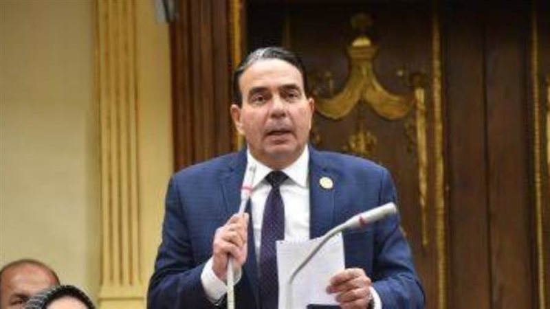 النائب أيمن أبو العلا
